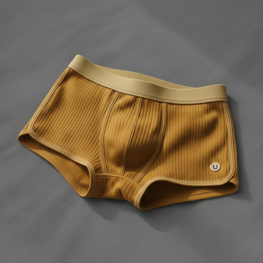 André Ferran Iconic Boxer Briefs