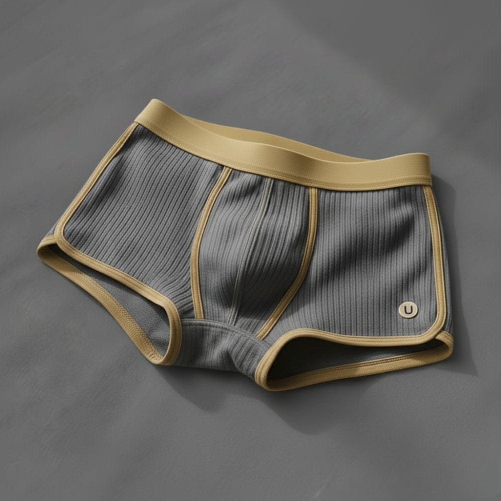 André Ferran Iconic Boxer Briefs