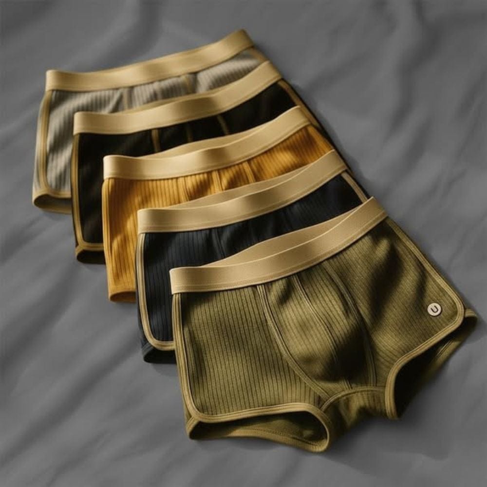 André Ferran Iconic Boxer Briefs